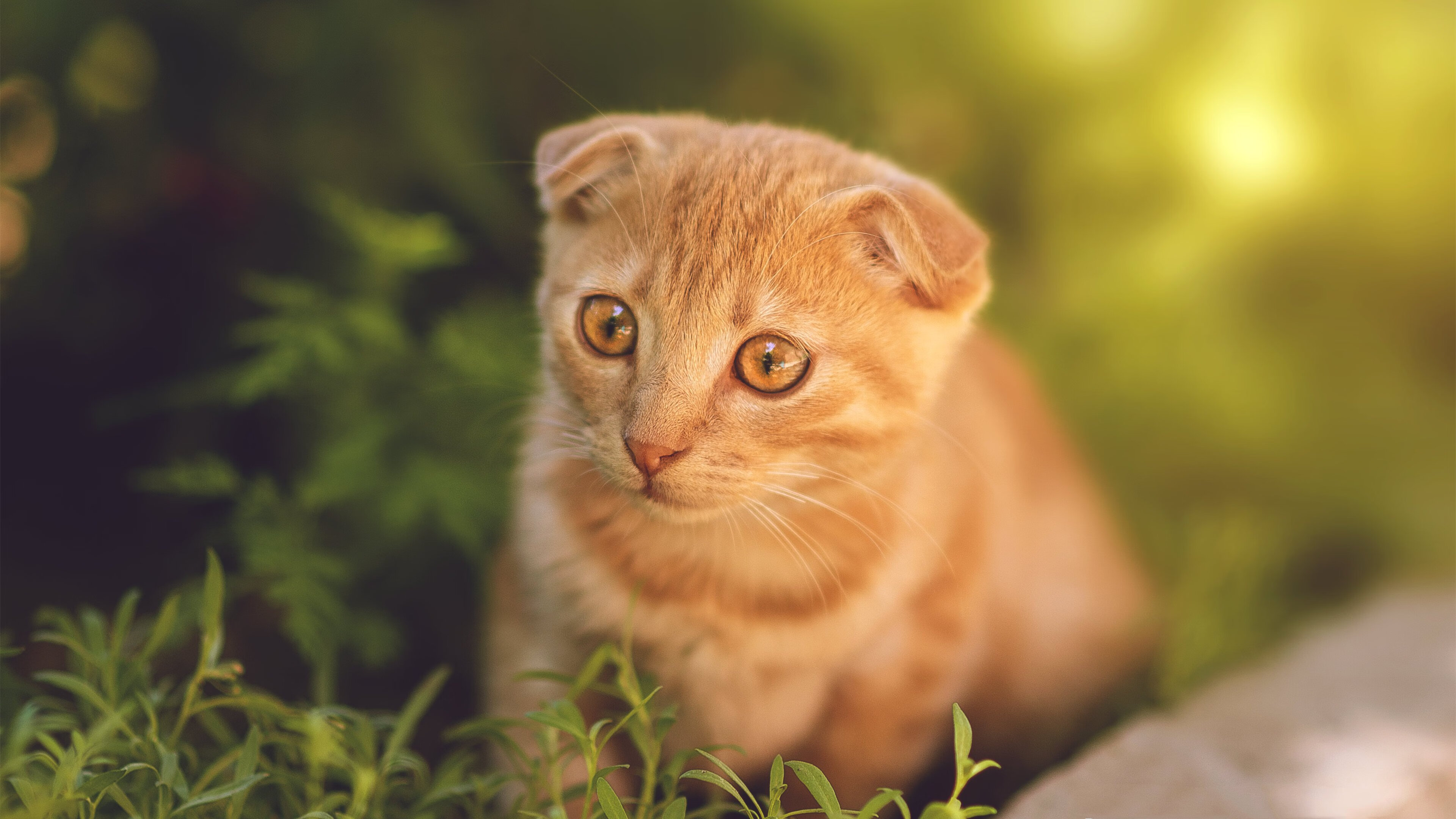 欧洲杯预选赛实力对比,劲敌争奇斗艳,谁能胜出?,欧洲杯预选赛预测冠军