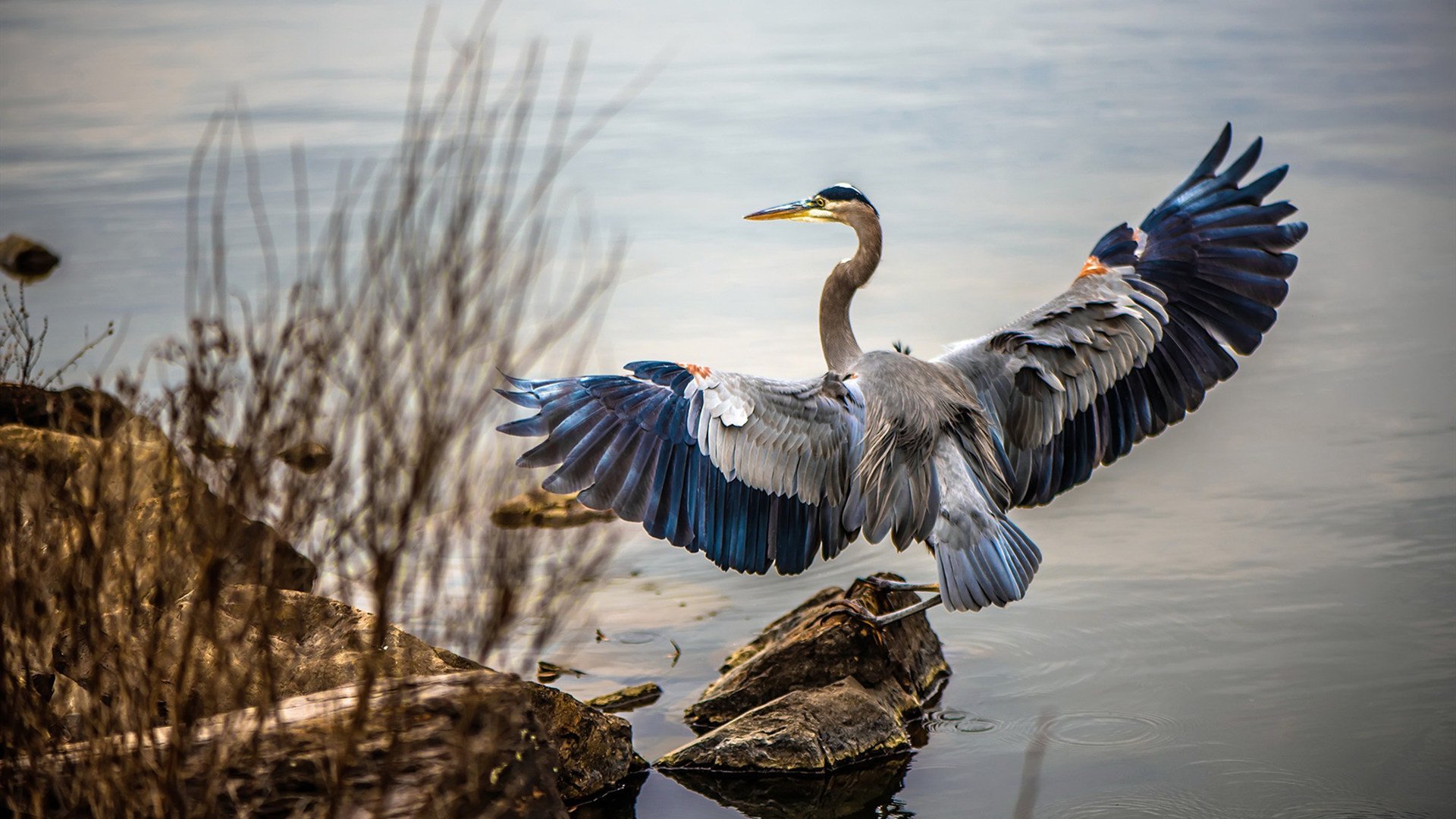 AYX官网-雷霆大胜公牛，全明星赛前哨战中亚历山大三分雨不断，亚历山大nba球员雷霆