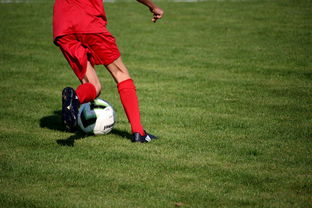 爱游戏官方-中国篮球青年运动员选拔体系研究，中国篮球国家青年队选拔方式