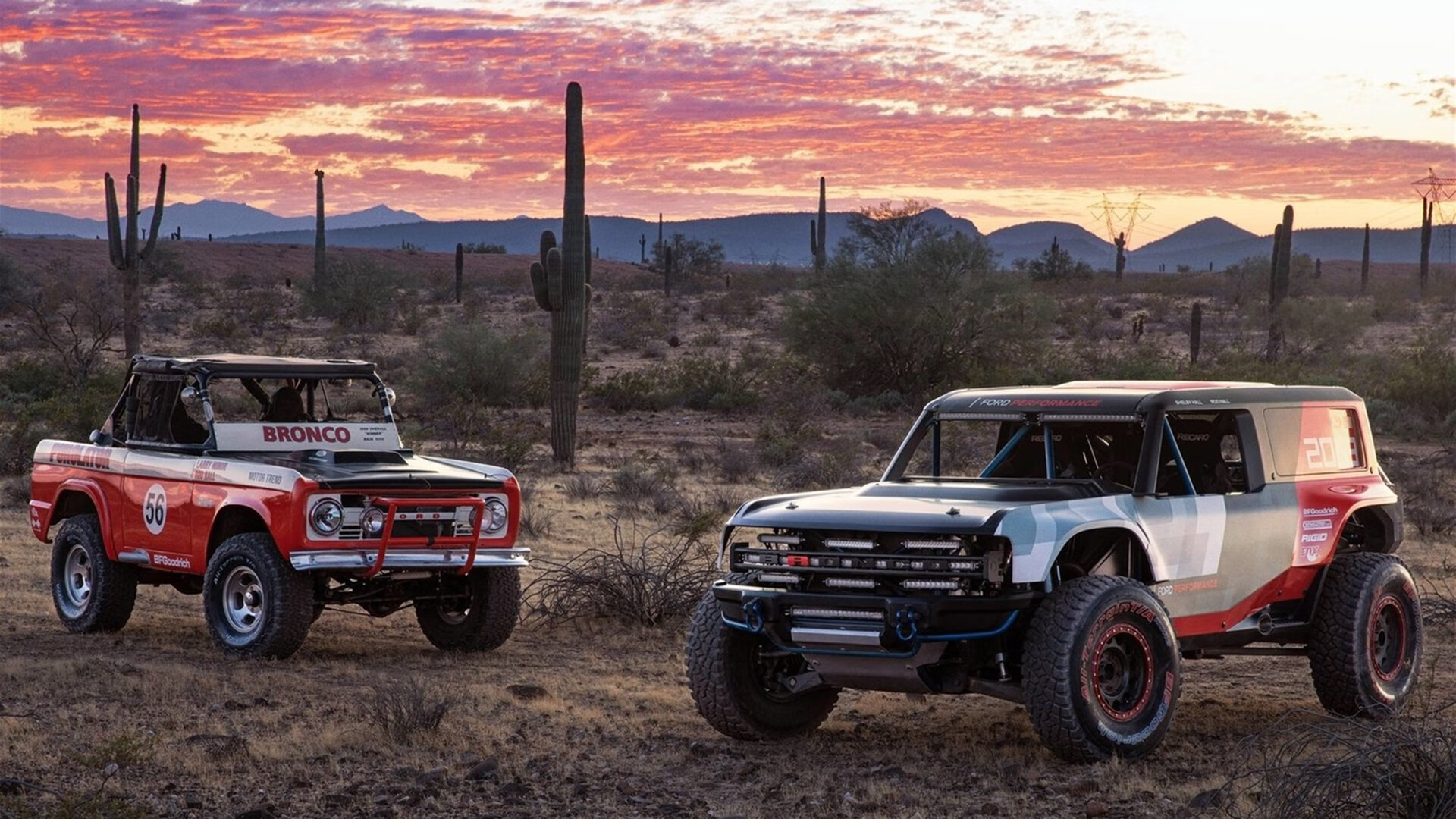 中国篮球青训教练员能力提升路径,篮球青训师的待遇怎么样