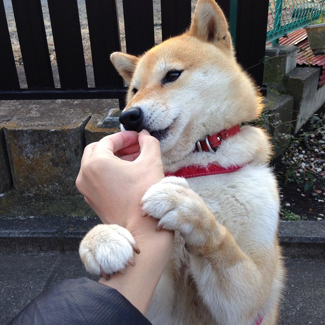 中小学体育教师教学方法多样化实践,中小学体育教师教学的主要问题