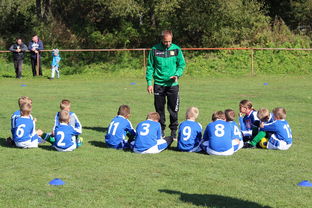 爱游戏中国官方登录入口网站-中超赛事赛中战术调整频率，2021中超赛制详解