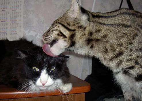 爱游戏娱乐平台-新闻中心发布年度战略规划，战略部署会议新闻稿