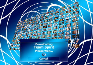 AIYOUXI.COM-球迷盛典：现场氛围与体育精神的融合，球迷知识