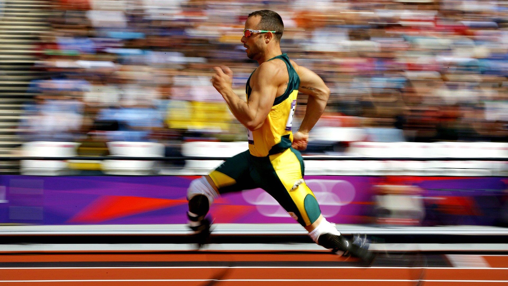 球迷盛典:现场氛围与体育精神的融合,球迷知识