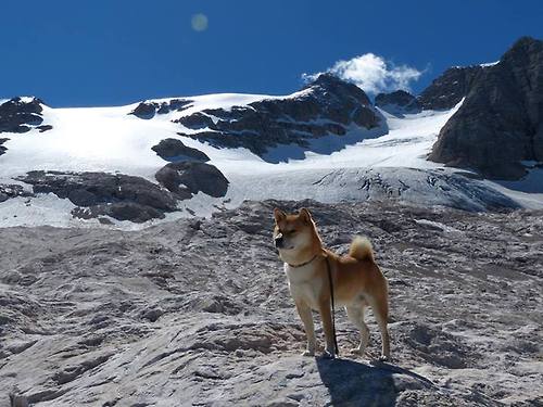 爱游戏在线登录入口-西甲球队利用热区分析调整防守阵型布局，西甲热度