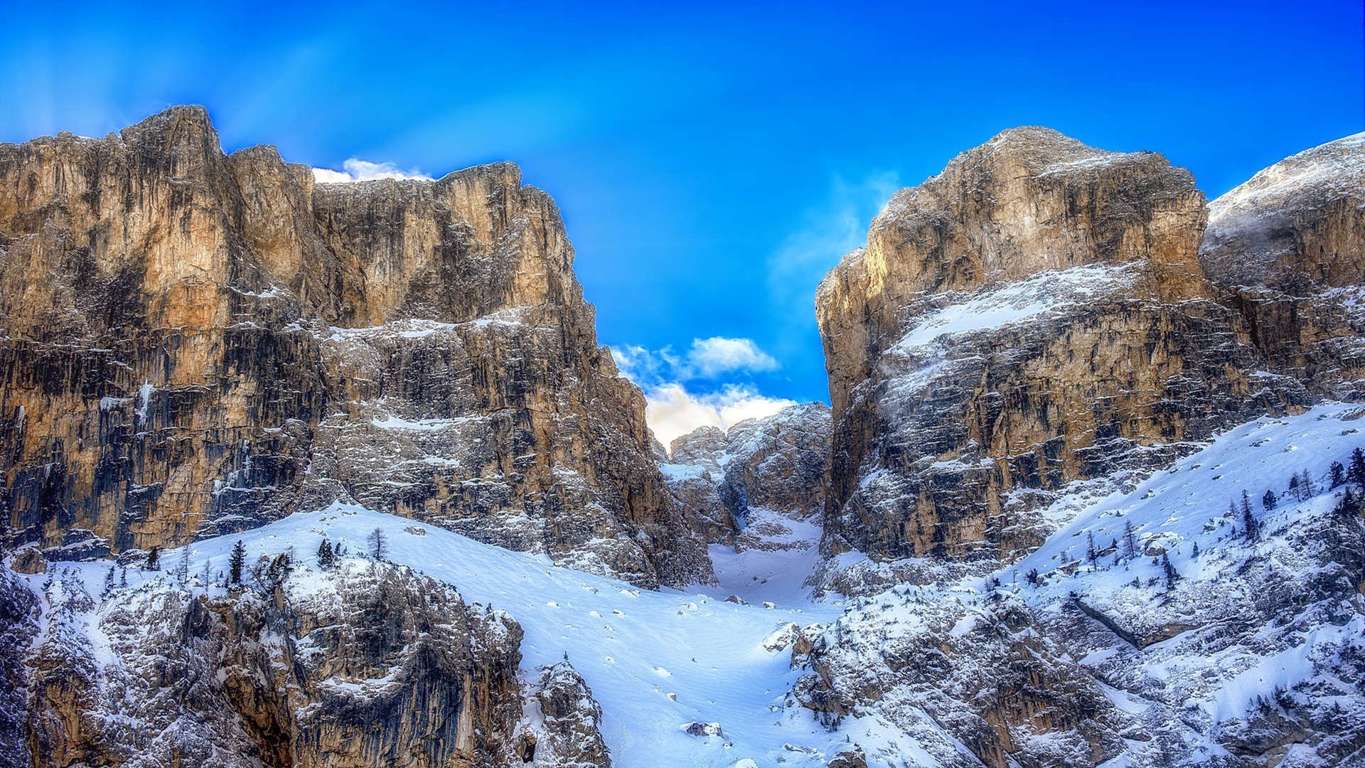 运动技能学习平台功能设计与优化,运动技能示范能够提供哪些信息