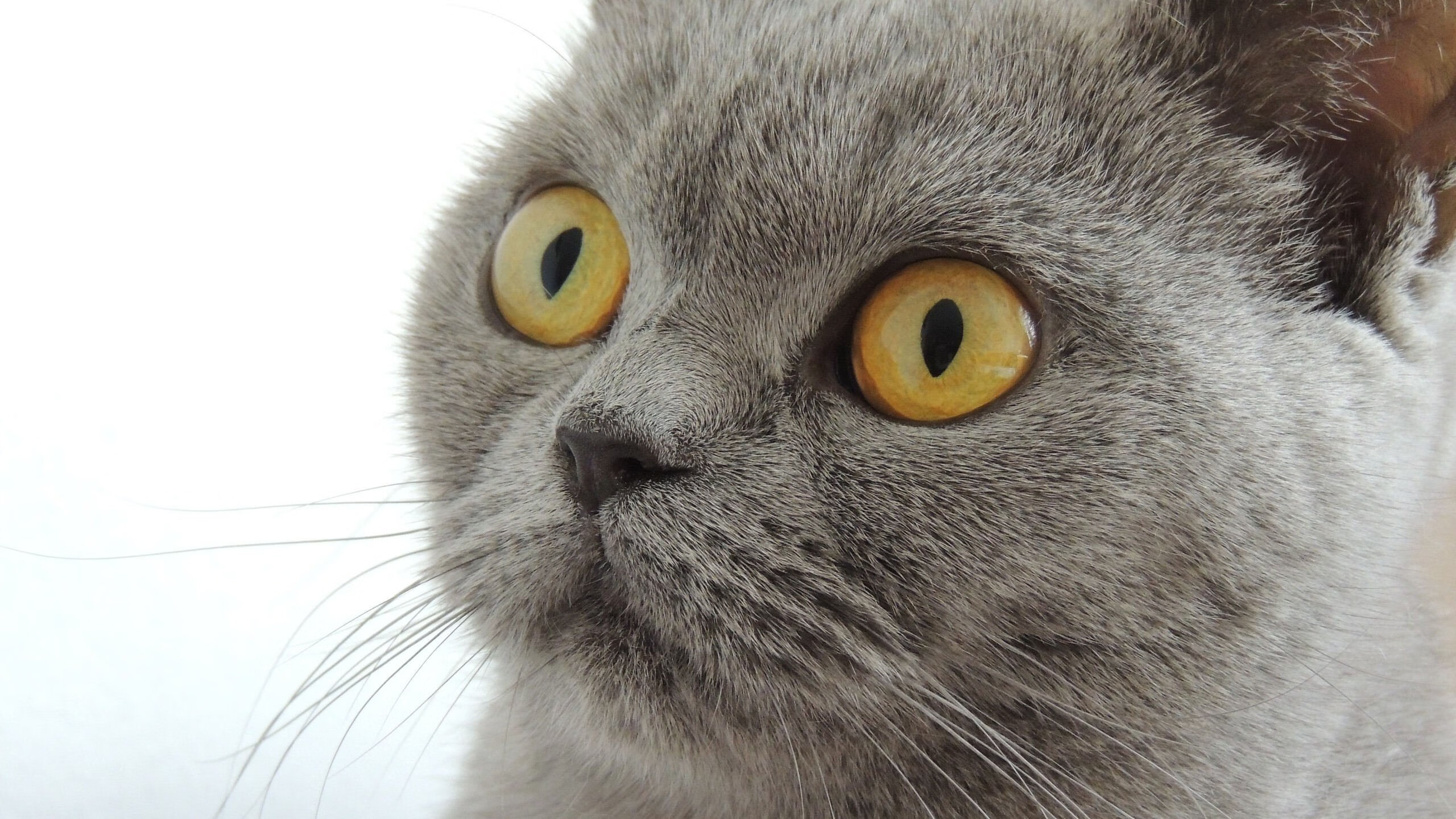 爱游戏体育（AYX）官方APP下载-体育新闻中心启动体育视频创作标准体系建设，体育新闻短视频