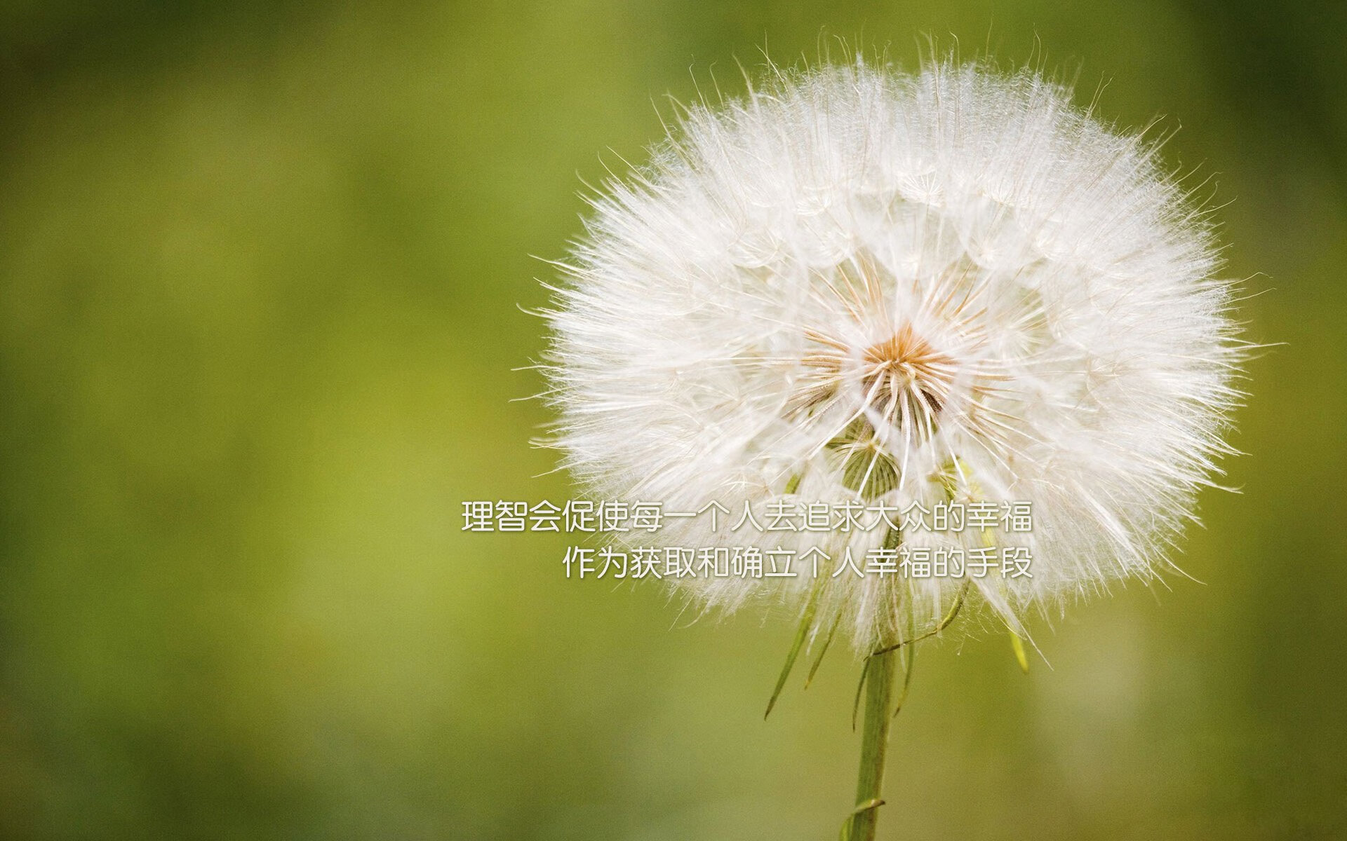 全国跳绳大赛推广体能训练新理念，全国跳绳运动推广中心成立