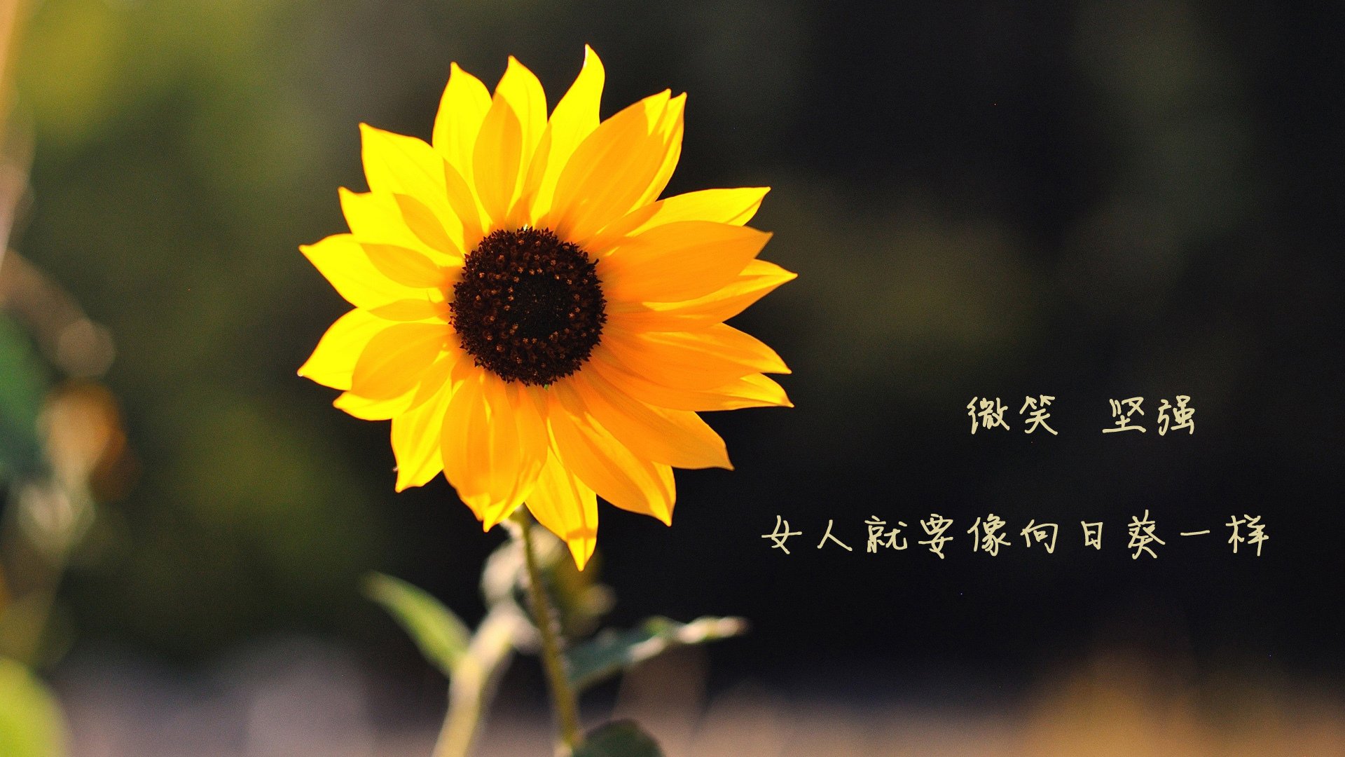 球星带队能力从哪些数据体现,nba带队能力