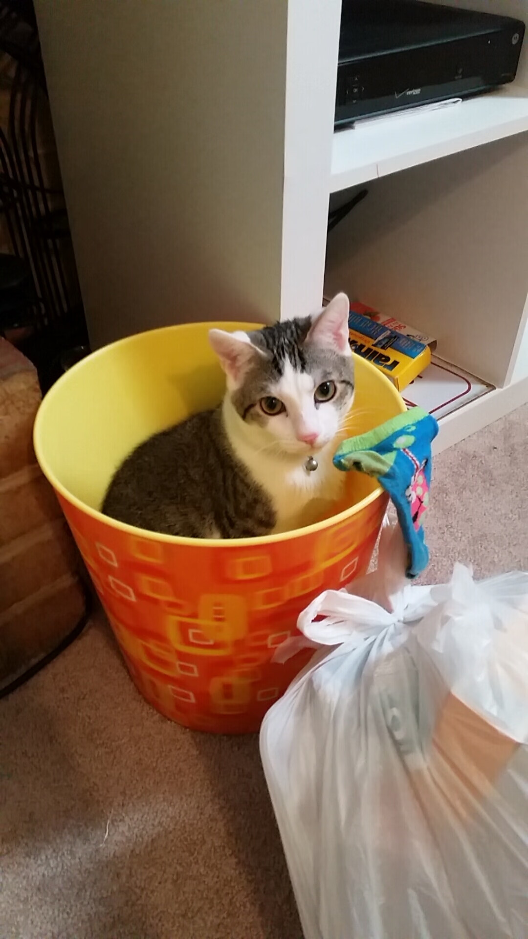 爱游戏综合娱乐-自由搏击实战训练方式持续优化，自由搏击训练动作