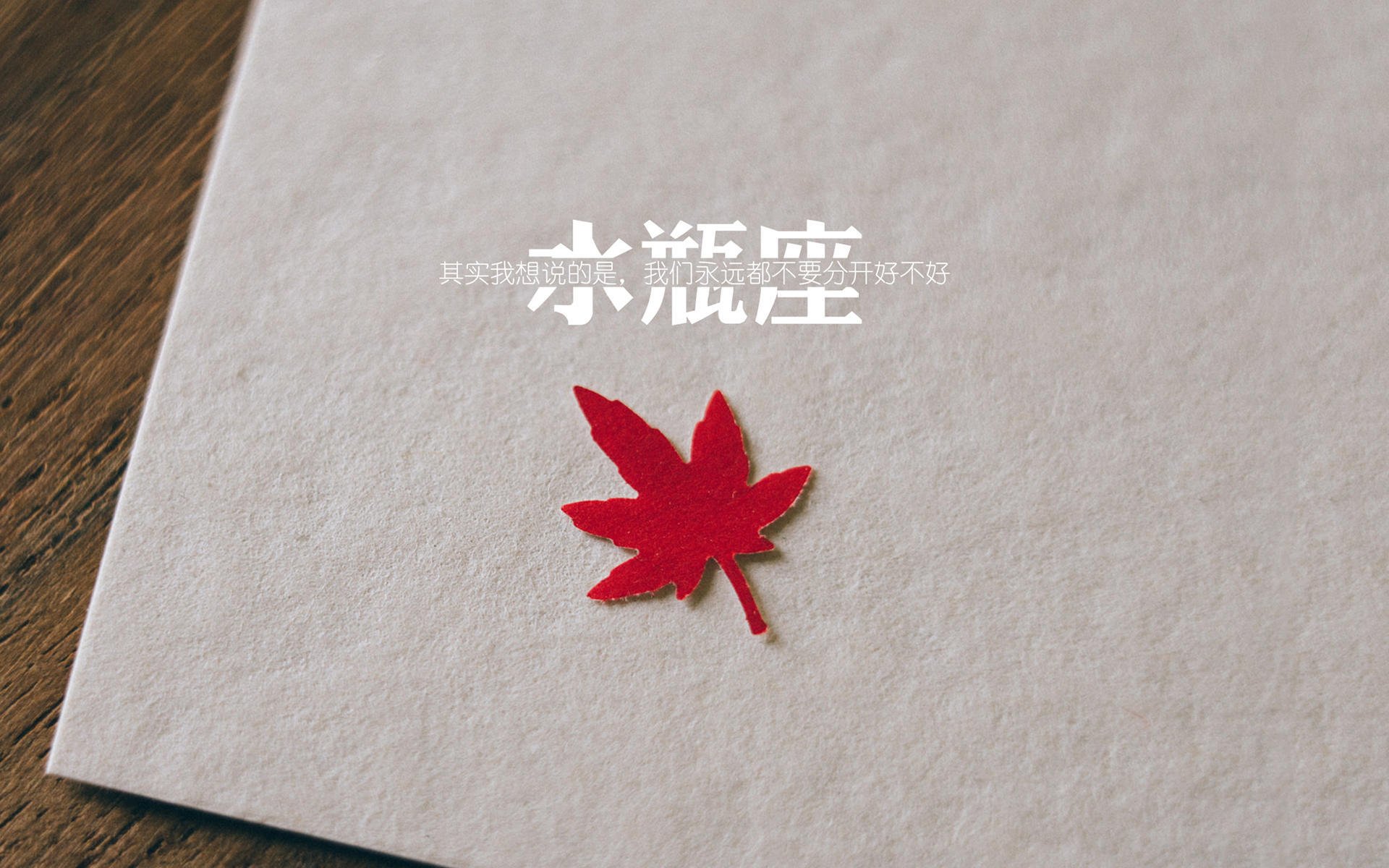 赛制新变化，德国队如何在国际乒联混合团体世界杯中调整战术，德国乒乓球俱乐部联赛