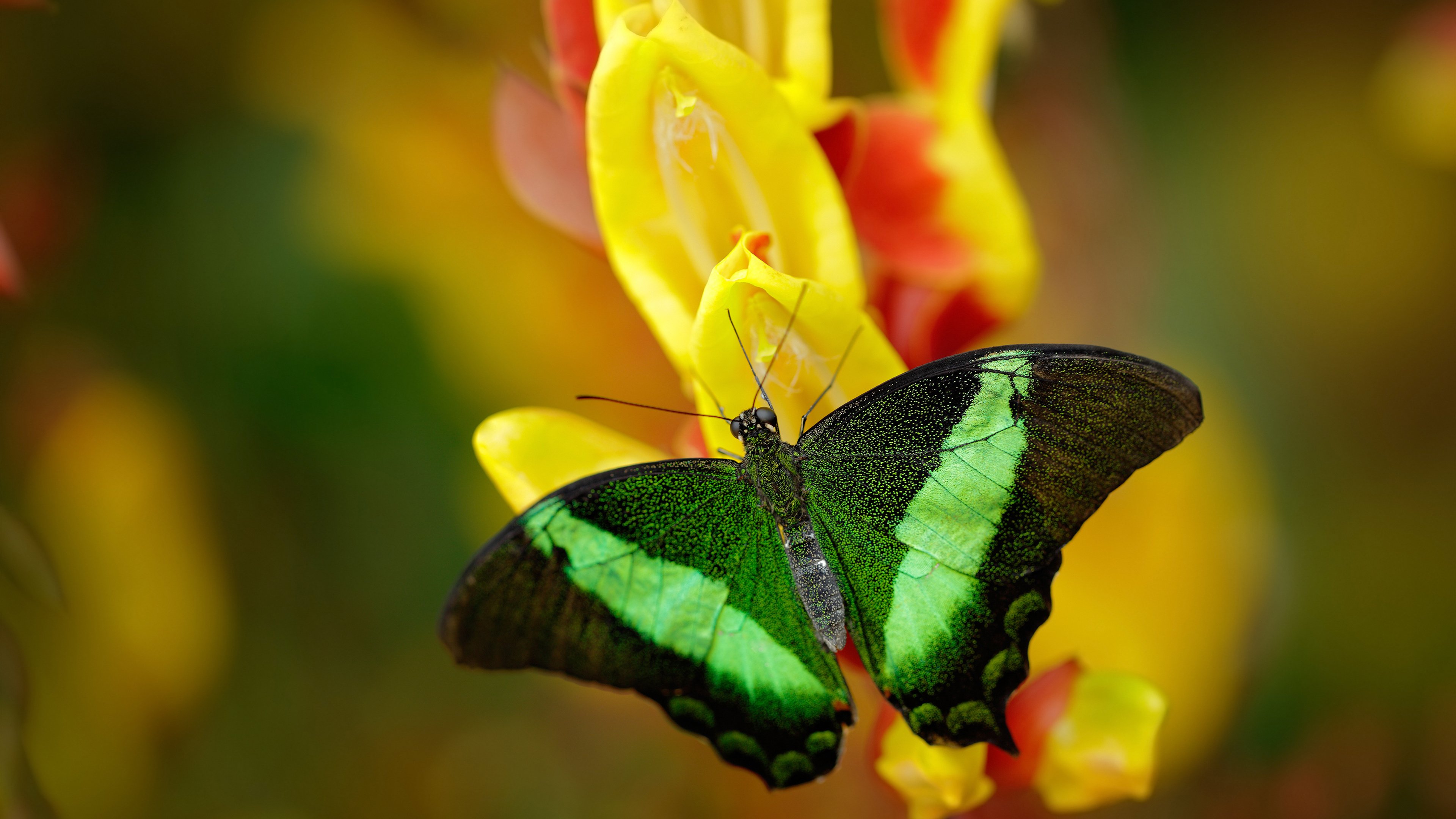 足球校园联盟增加技战术专项课程,校园足球基础技能