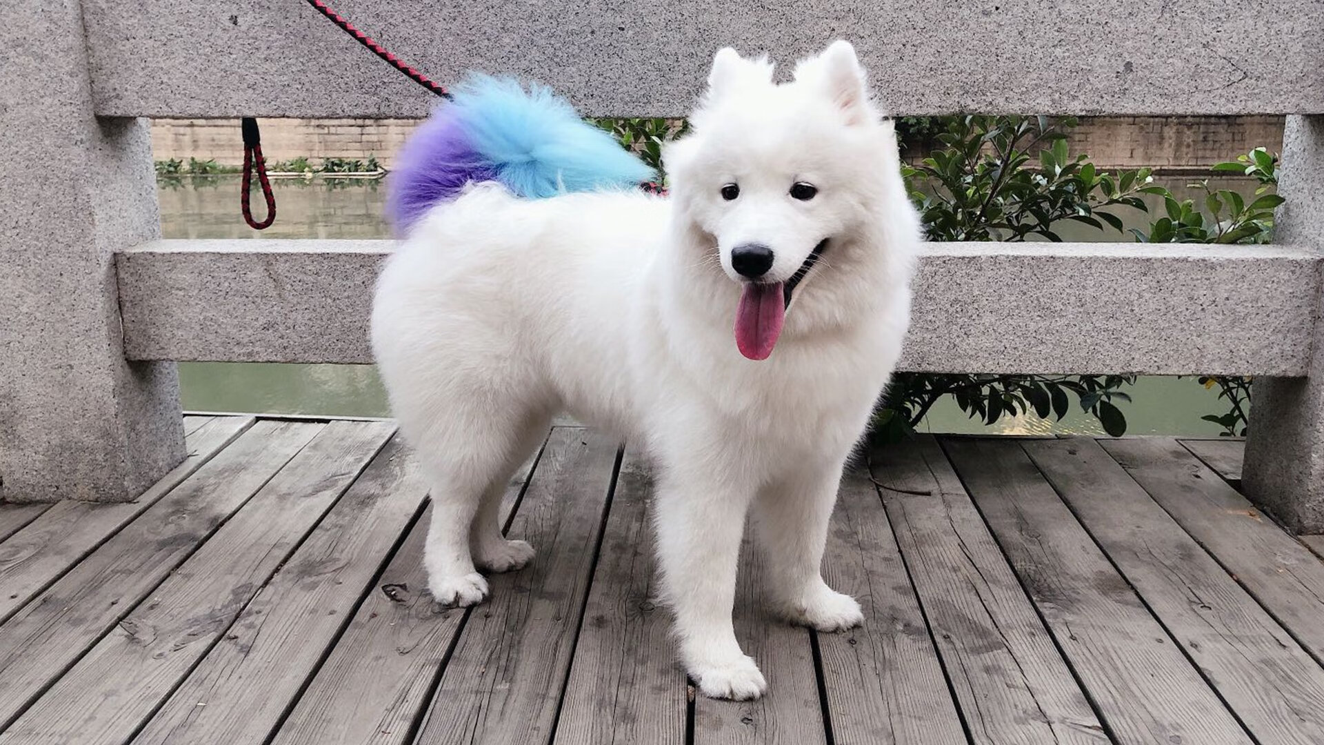 青训工作体系化推进成效显著,青训体系是什么意思