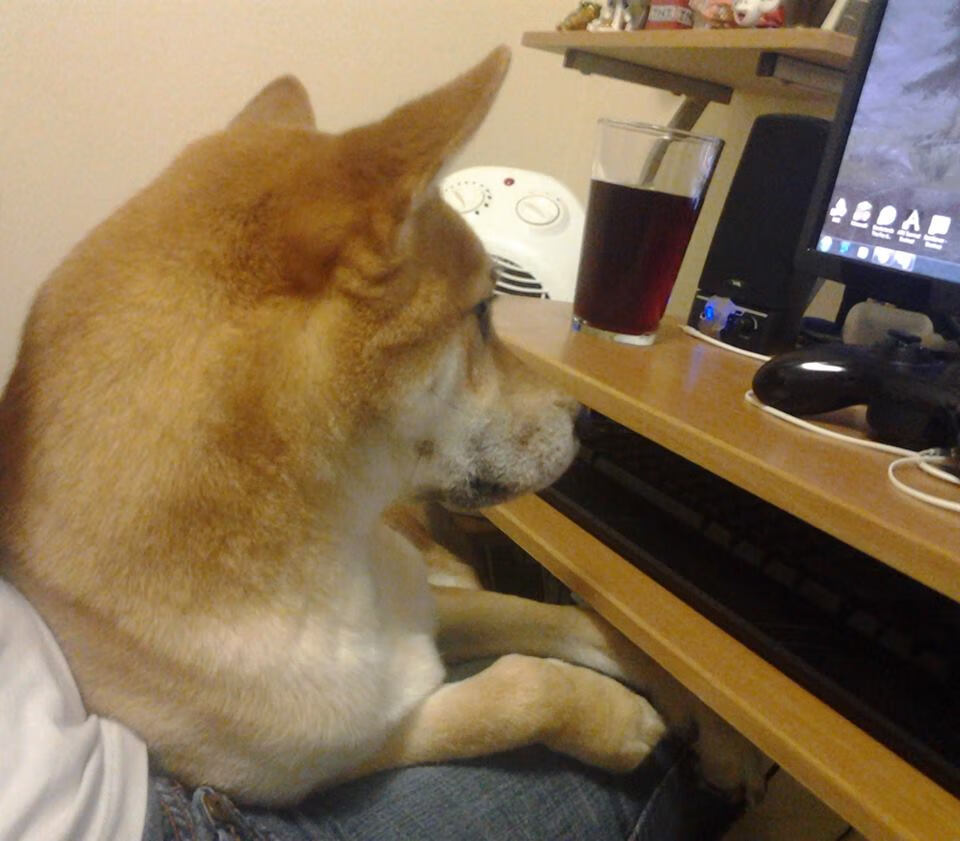 中国篮球协作多方资源推动篮球文化传播,浅谈中外篮球文化