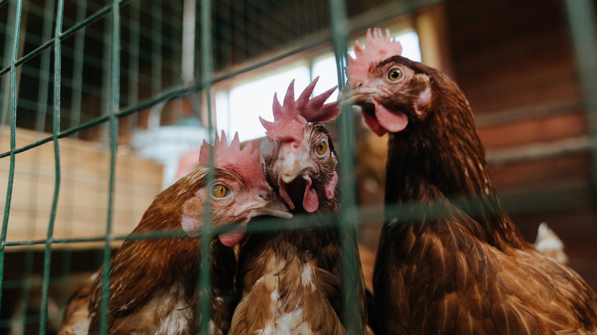 体育赛事安保措施加强，如何加强体育赛事活动的安全监管