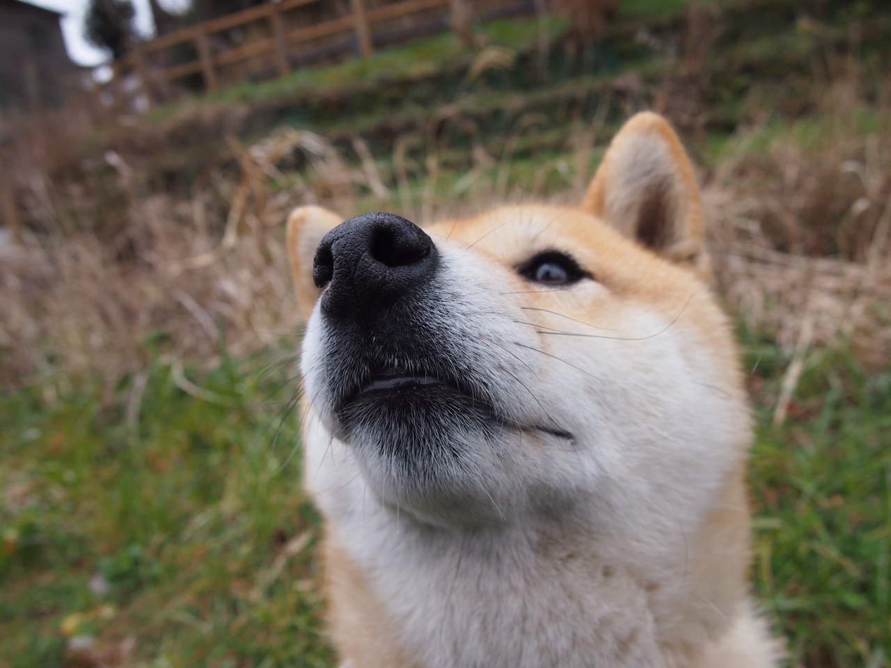 卢旺达男篮在非洲锦标赛中勇夺佳绩,体育影响力不断扩大,卢旺达非洲第一