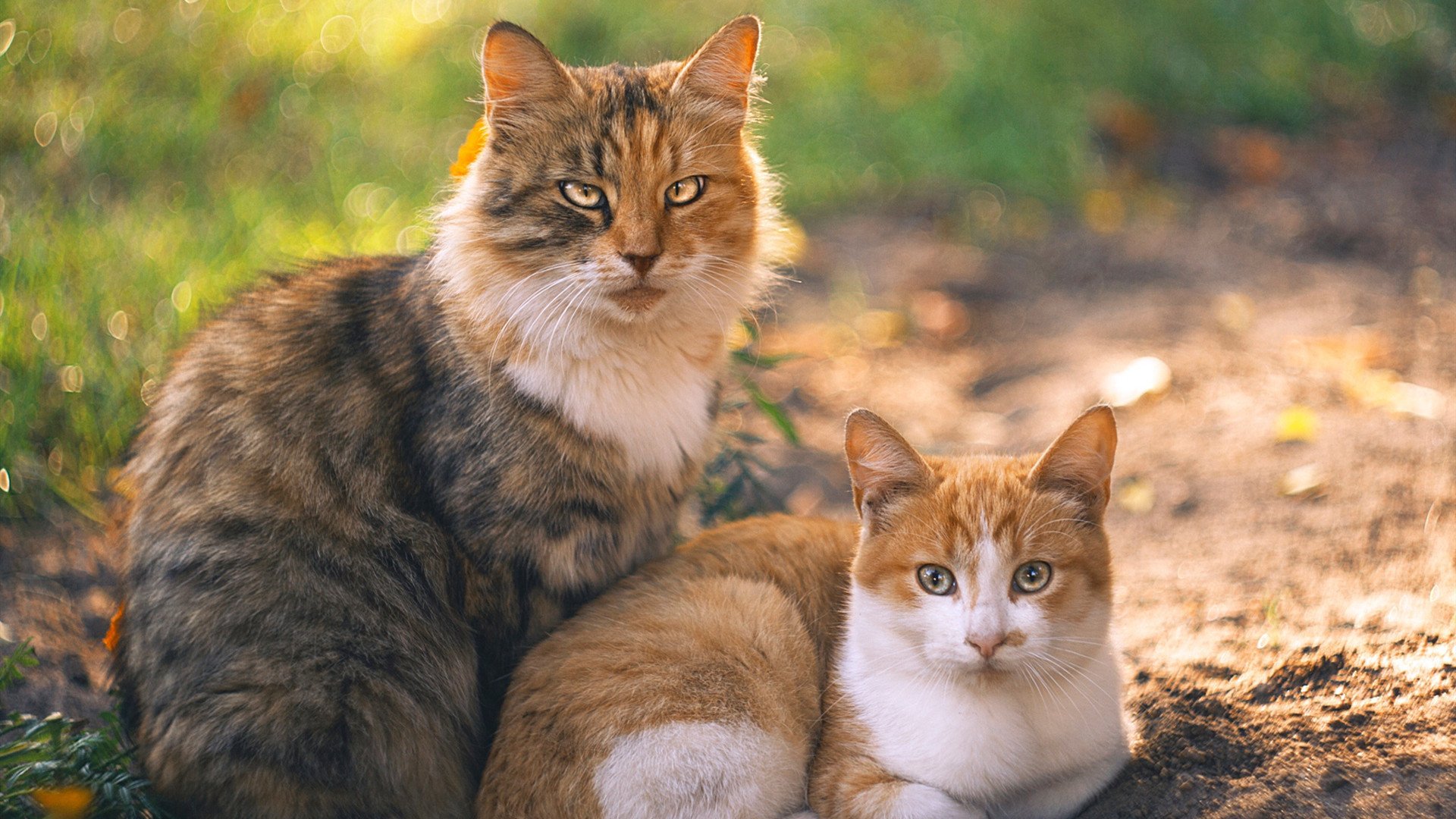 爱游戏下载-意甲战力比拼：场场激烈，精彩纷呈，意甲队伍排名