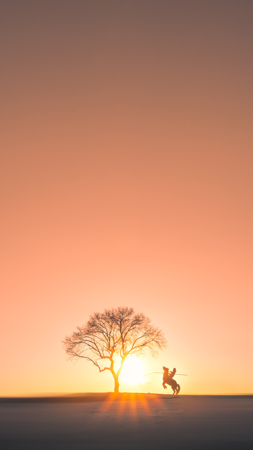 意甲战力比拼:场场激烈,精彩纷呈,意甲队伍排名