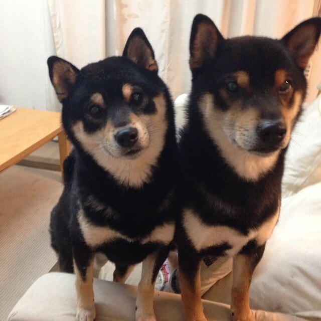 赛后复盘找出问题根源,复盘比赛是什么