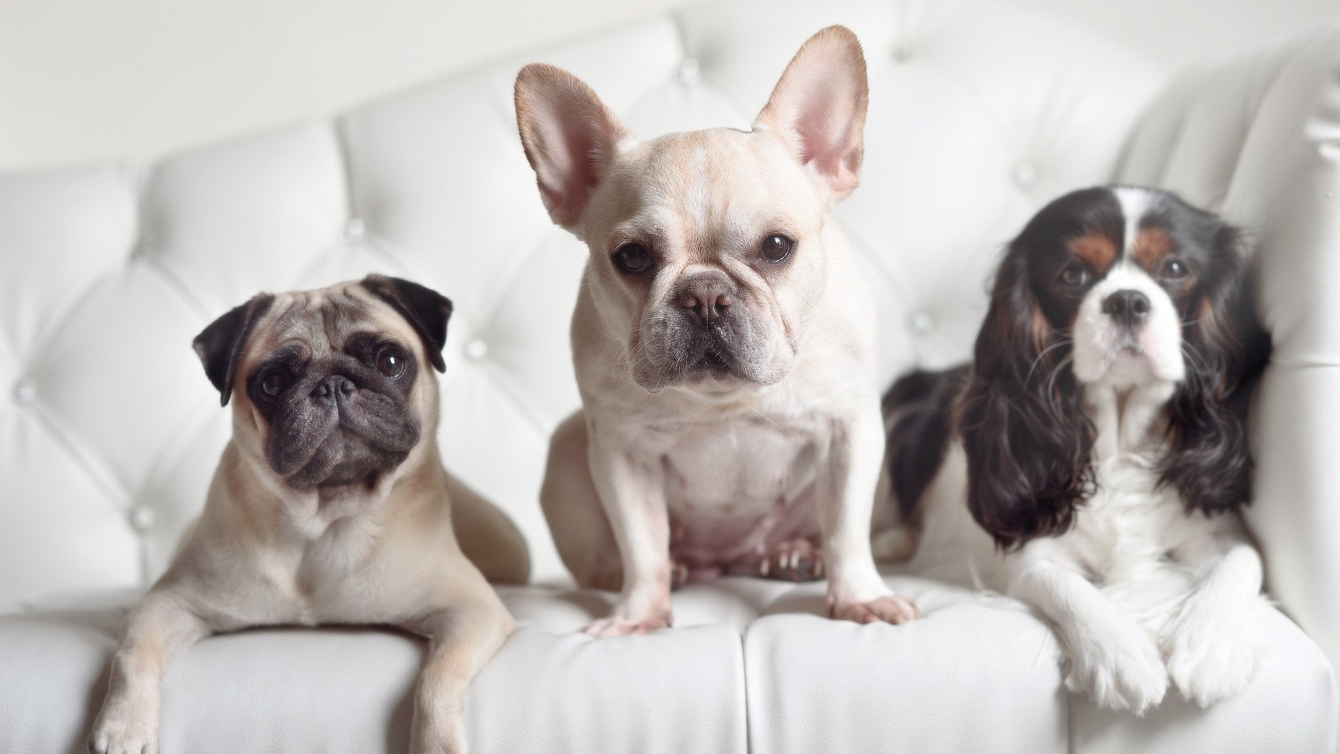 马刺训练日主帅重点讲解无球移动,马刺的口令